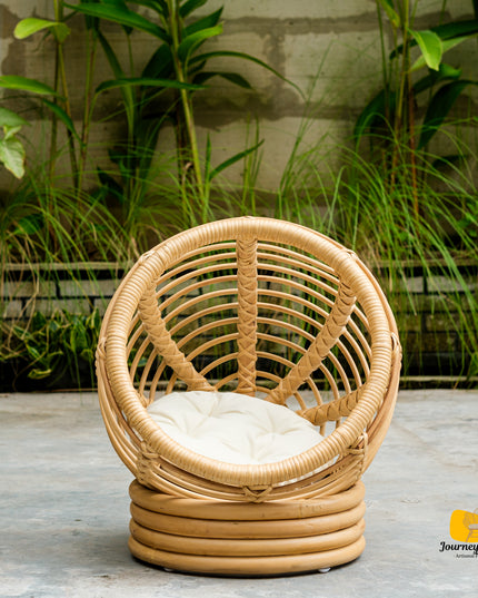 Rattan Globe Pet Chair