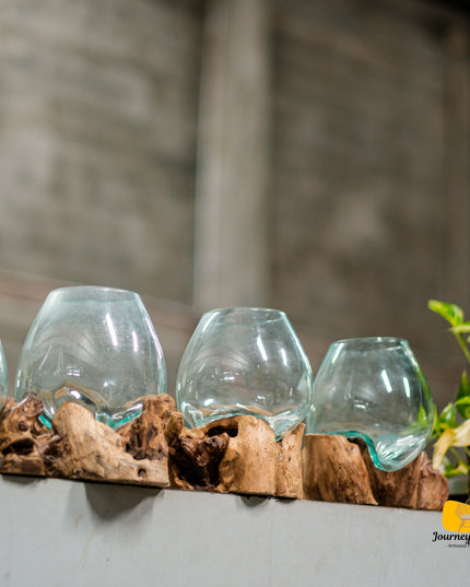 Hand-Blown Glass & Natural Tree Stump Vase